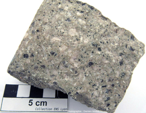 Échantillon de rhyolite grise permienne issu de la carrière de Montreuillon (Nièvre)