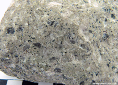 Détail d'un échantillon de rhyolite permienne issu de la carrière de Montreuillon (Nièvre)