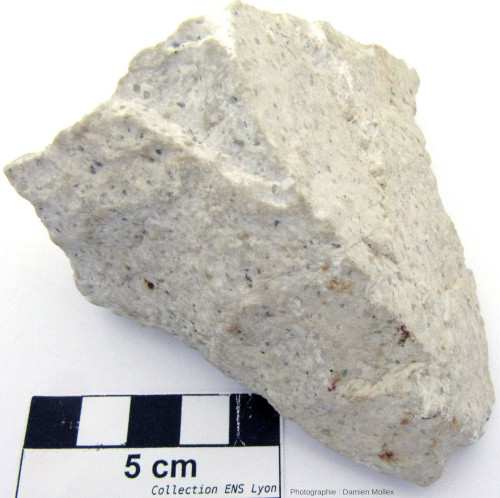 Échantillon de rhyolite blanche provenant de l'Est du massif du Mouthoumet (commune de Treilles, Aude), massif constitué du socle hercynien de la zone sous-pyrénéenne