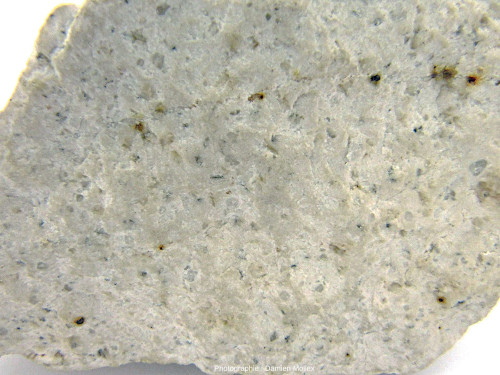 Détail d'un échantillon de rhyolite provenant de l'est du massif du Mouthoumet (commune de Treilles, Aude)