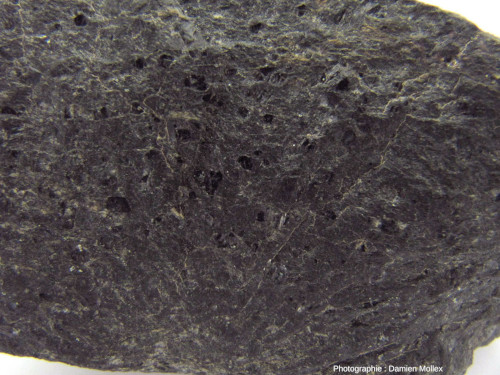 Détail d’un échantillon de rhyolite provenant de la carrière de Chie-Loup sur la commune de Landevieille, Vendée