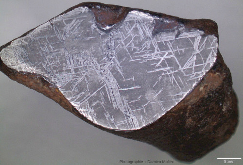 Surface polie et attaquée à l'acide nitrique dilué d'une météorite NWA 859
