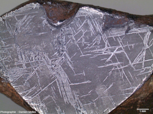 Zoom sur la surface polie et attaquée à l'acide nitrique dilué d'une météorite NWA 859
