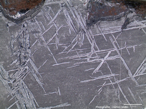 Figures de Windmanstätten sur la surface polie et attaquée à l'acide nitrique dilué d'une météorite NWA 859