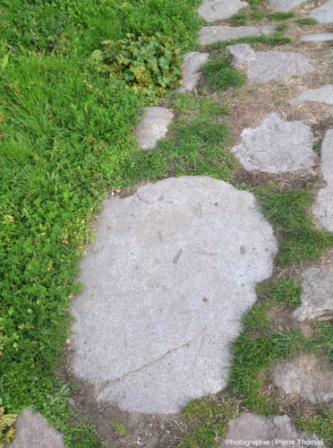 Vue d'ensemble d'une dalle de granite contenant des enclaves basiques, voie romaine de Fourvière (Lyon, Rhône)