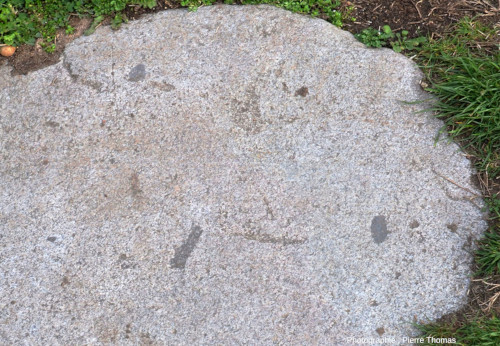 Détail d'une dalle de granite contenant des enclaves basiques, voie romaine de Fourvière (Lyon, Rhône)