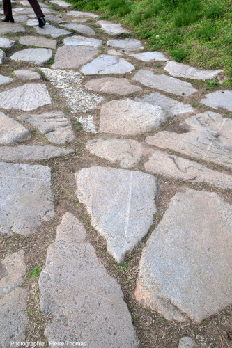 Vue d'ensemble sur une dalle traversée par un étroit filon de pegmatite, voie romaine de Fourvière (Lyon, Rhône)