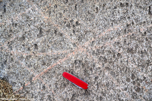 Zoom sur une dalle de granite recoupée par une dizaine de filons aplo-pegmatitiques, voie romaine de Fourvière (Lyon, Rhône)
