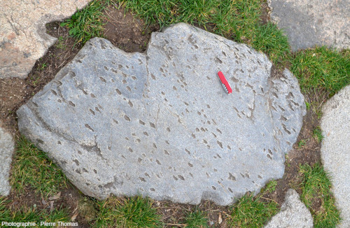 Vue d'ensemble sur une dalle de granite dont la surface est perforée de “trous” allongés et parallèles entre eux, voie romaine de Fourvière (Lyon, Rhône)