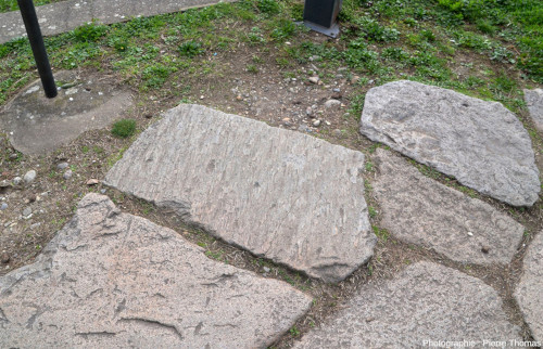 Vue d'ensemble sur une dalle dont la surface correspond à un miroir de faille portant de belles stries, voie romaine de Fourvière (Lyon, Rhône)