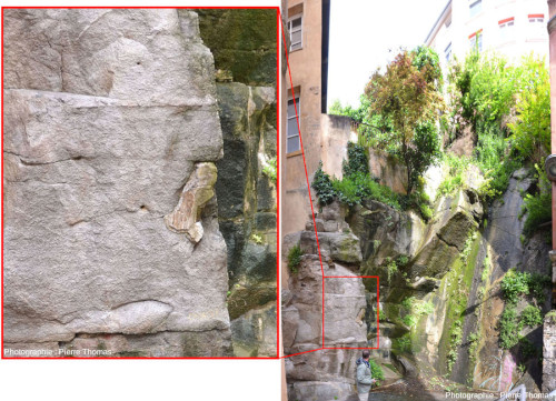 Affleurement de granite localisé à la figure précédente dans le fond d'une arrière cours en bas des pentes de la Croix-Rousse (Lyon)