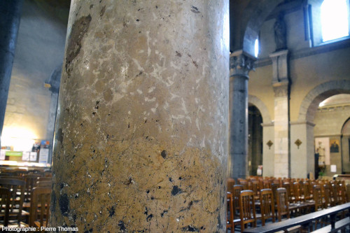 Zoom sur une des colonnes de la nef de la basilique d'Ainay (Lyon, Rhône) montrant un réseau de veines claires, contournées et ramifiées jaunâtres et se détachant nettement dans le calcaire patiné