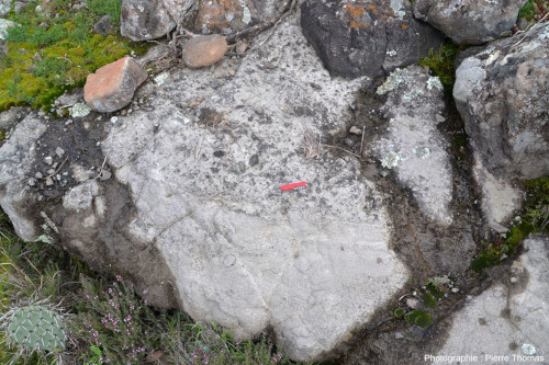 Vue éloignée d'un affleurement “vertical” caractéristique des dépôts pyroclastiques andésitiques du Dôme de Biot, Alpes Maritimes