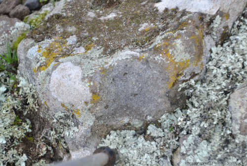 Détail de la cassure fraiche d'un gros bloc du niveau pyroclastique de la figure précédente, Dôme de Biot, Alpes Maritimes