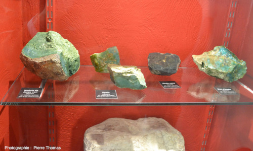 Échantillons d’“accidents siliceux” (opale) dans une vitrine du Musée d'Histoire et de Céramique Biotoises