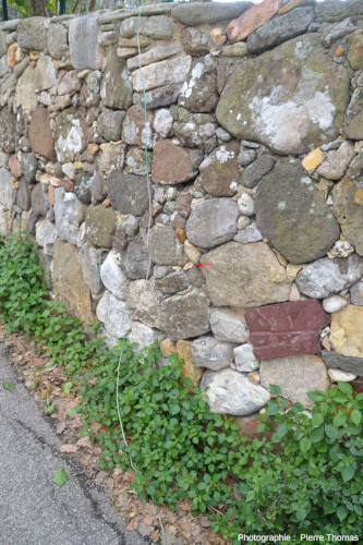 Vieux mur contenant (au niveau de la flèche rouge) deux petits morceaux de bois silicifié, environs de Biot (Alpes Maritimes)