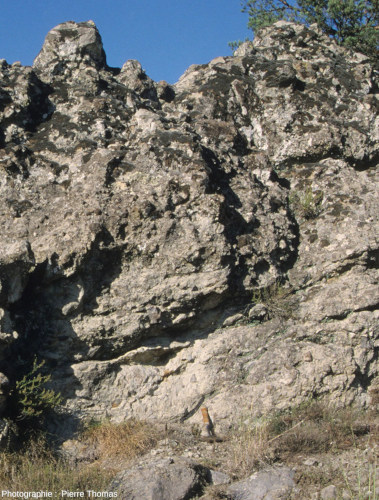 Affleurement de pyroclastites andésitiques dans le synclinal de Saint-Antonin (Alpes Maritimes)