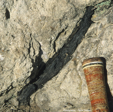 Détail d’un morceau de bois carbonisé inclus dans les pyroclastiques andésitiques du synclinal de Saint-Antonin (Alpes Maritimes)