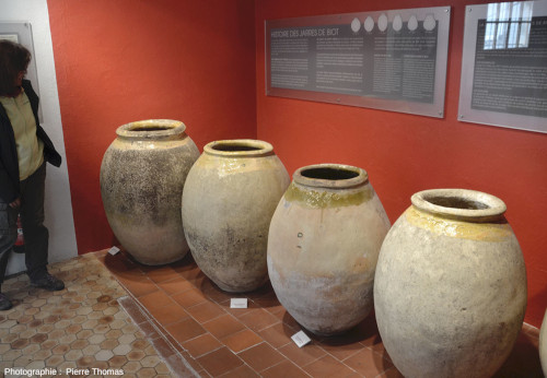 Jarres de Biot exposées au Musée d'Histoire et de Céramique Biotoises (Alpes Maritimes)