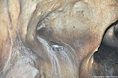Zoom arrière sur la chauve-souris calcitisée montrant la position du cadavre avant le début du dépôt de calcite