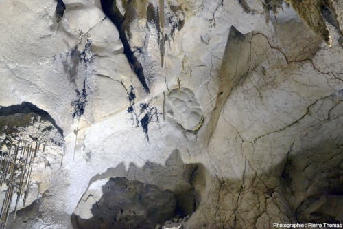 Chevelus racinaires à proximité d'une structure mamelonnée, un silex, grottes de Thouzon (Vaucluse)