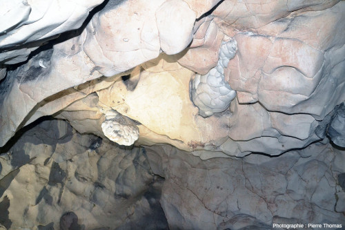Deux rognons de silex partiellement dégagés de leur “gangue” calcaire par l'eau qui parcourait les galeries souterraines à l'époque où ces galeries correspondaient à une rivière souterraine active, grottes de Thouzon (Vaucluse)
