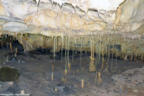 Quelques stalagmites, nombreuses stalactites et quelques fines colonnes dans les grottes de Thouzon (Le Thor, Vaucluse)