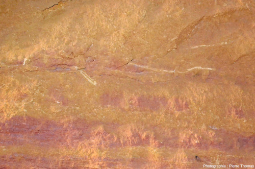 Zoom sur des “traces” claires de la figure précédente, mines d'ocre de Bruoux (Vaucluse)