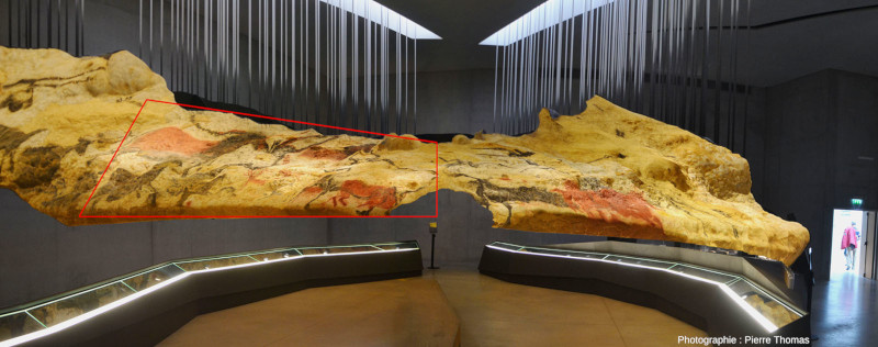 Vue partielle de l'Atelier reproduisant les parois de la célèbre “salle des taureaux”, par où débute la “vraie” grotte de Lascaux
