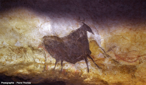 Peinture connue sous le nom de « vache noire » (nef), atelier de la grotte de Lascaux 4 (Dordogne)