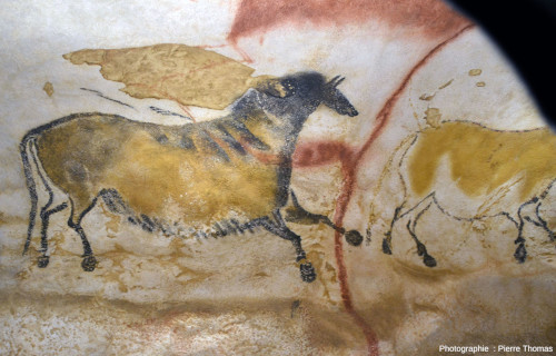 Autre cheval du diverticule axial, atelier de la grotte de Lascaux 4 (Dordogne)