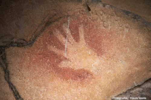 Main négative dans la grotte Chauvet 2 (Ardèche)
