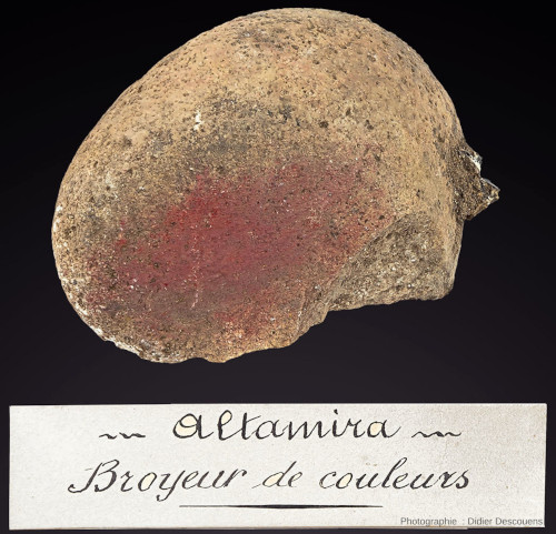 Un broyeur de couleur (d'ocre en l'occurrence) trouvé dans la grotte d'Altamira (Espagne) et conservé au Muséum de Toulouse