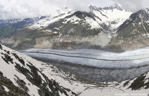 Vue de l'aval du glacier d'Aletsch photographié depuis la station supérieure du téléphérique de l'Eggishorn (canton du Valais, Suisse)