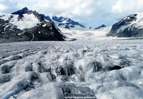 La surface du glacier d'Aletsch montrant des crevasses (canton du Valais, Suisse)