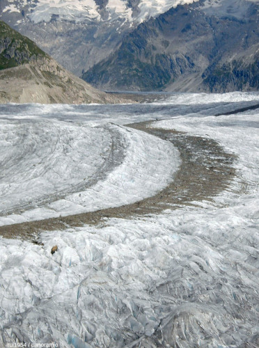 Gros plan sur une moraine médiane du glacier d'Aletsch (Suisse)