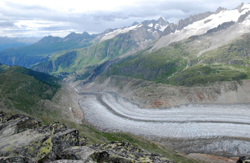 Vue en direction de l'aval de la langue terminale du glacier d'Aletsch en 2008 avec approximativement le même angle de prise de vue que sur la figure précédente