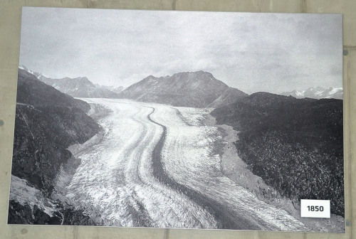 Langue terminale du glacier d'Aletsch en 1850, photographie prise en direction de l'amont