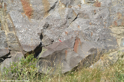 Partie d'affleurement à conglomérats carbonifères aux galets approximativement isodiamétriques, secteur de la Combarine (Puy-Saint-Pierre, Hautes-Alpes)