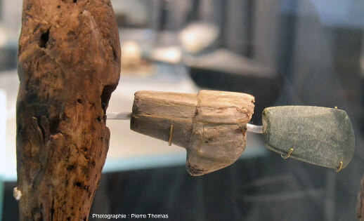 Détail d'une hache dont les éléments (authentiques) ont été redisposés, , Musée archéologique du lac de Paladru (Isère)