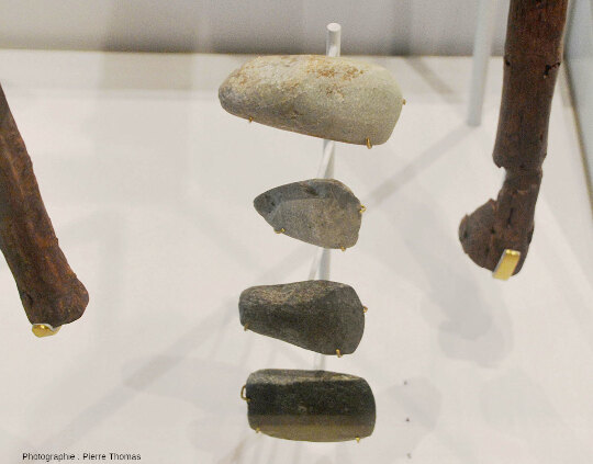 Détail sur les quatre lames de haches du bas de la vitrine de la figure précédente, MALP (Isère)