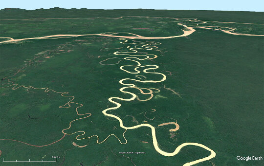 Vue aérienne sur de méandres recoupés du Rio Jururà dont les anciens lits sont souvent occupés par des bras morts (Amazonie)