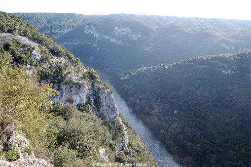 Les gorges de l'Ardèche depuis l'un des belvédères aménagés le long de la route touristique