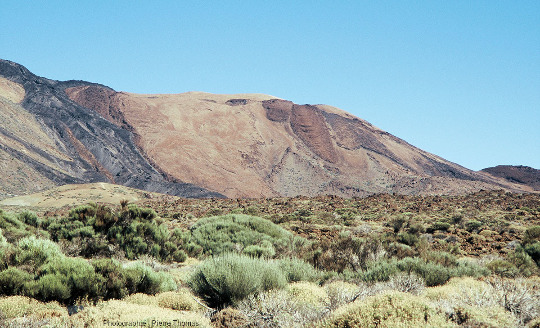 Zoom sur la Montana Blanca limitée à gauche par une coulée de phonolite noire et dont le flanc est partiellement recouvert de trois coulées rougeâtres (Tenerife, Canaries)