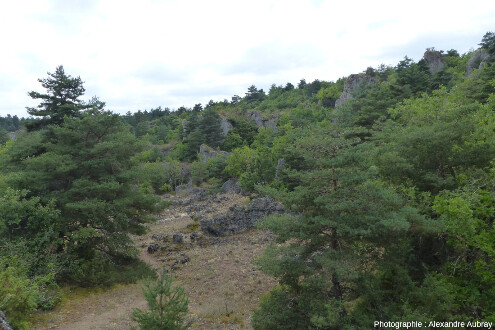 Vue générale sur des piliers de dolomie dépassant de la forêt, L'Hospitalet-du-Larzac (Aveyron)