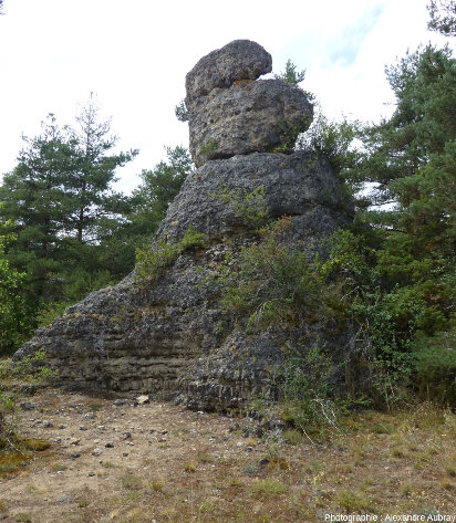 Détail d'un pilier de dolomie dépassant de la forêt, L'Hospitalet-du-Larzac (Aveyron)