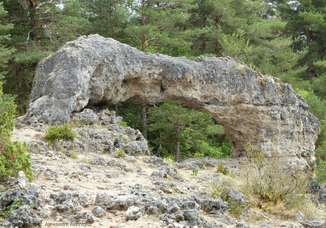 Arche de dolomie, forêt du Causse de L'Hospitalet-du-Larzac (Aveyron)