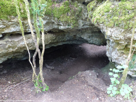 Entrée de la grotte éclairée, forêt du Causse de L'Hospitalet-du-Larzac (Aveyron)