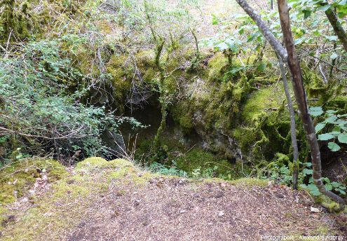 Vue depuis l'extérieur du sommet de la grotte éclairée, forêt du Causse de L'Hospitalet-du-Larzac (Aveyron)