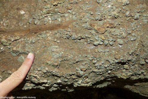 Précipitations de carbonates sur les parois de cavités dans les canalettes, forêt du Causse de L'Hospitalet-du-Larzac (Aveyron)